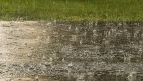 ALERT: Met Eireann issues another status yellow weather warning for Waterford