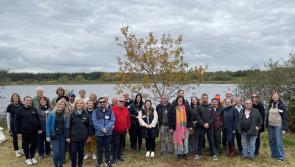 PICTURES: Tourism businesses embark on a learning journey along Waterford's Copper Coast