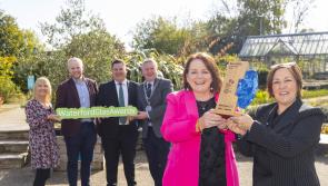 CONGRATULATIONS: Waterford companies celebrate success at Glas Awards 