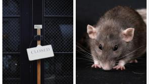 Popular Waterford Restaurant/Café hit with closure order after rat droppings sighing 