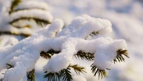 BREAKING: Met Eireann warns of 'significant snowfall accumulations' in Waterford