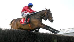 Willie Mullins star horses among favourites at New Year's Day races in Tramore