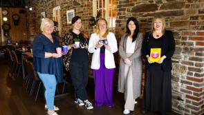 Talented Waterford designers set to feature at Ireland's leading creative exhibition