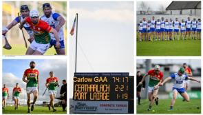 PICTURES: Waterford hurlers miss out in historic win for Carlow at Net Watch Cullen Park