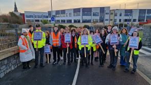 Car use in Waterford town decreases by 40% as local students walk to school