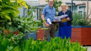 Waterford Hospice Movement launches four-year strategic plan amid big plans