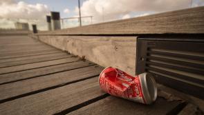 Waterford is 'Ireland's cleanest city' according to latest IBAL Anti-Litter League survey