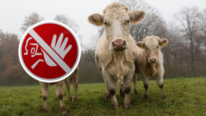 ALERT: Farmers hit with animal death and injury warning over 'incorrect equipment'