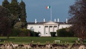 Waterford Council to host special meeting for Irish presidential hopefuls eyeing Áras run
