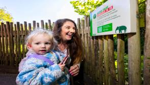 'A critical step': Dublin Zoo launches new initiative for deaf and hard of hearing visitors