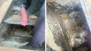 ‘Extremely distressing’ - Waterford pensioners in panic amid 'serious' back garden issue