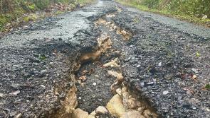 Famous face 'out for a spin' discovers what is surely Ireland's worst road