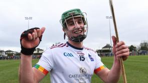 Young Waterford hurler named on Fitzgibbon Cup team of the year