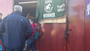 WATCH| Crowds meet Grand National winner Tiger Roll at Ploughing 2019