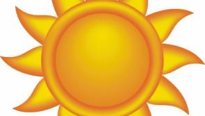Heatwave costing Waterford farmers €1,750 a week in extra costs