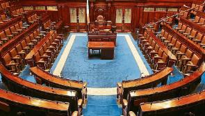 TD tells Dáil that public representatives have a role in 'dialing down division'