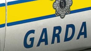 Gardaí seek information on theft at Waterford yard