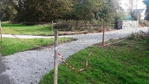 Kildare Carton Avenue ownership transfer suggestion rejected