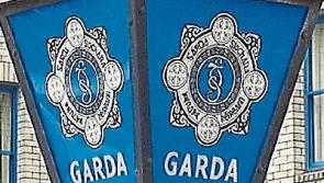 Gardaí investigate late-night break-in at South East ESB site 