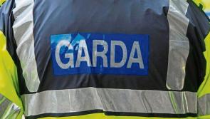 Waterford Gardaí appeal for information after child's hovercraft stolen from house