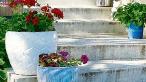 Interiors: Ten ways to add value to your home