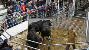 Waterford TD says supports are needed to help single farmers 