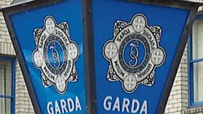 Smashing of jeep windows in Waterford under investigation