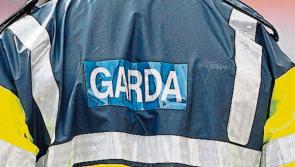 Garda probe launched after skeletal remains found in South East 