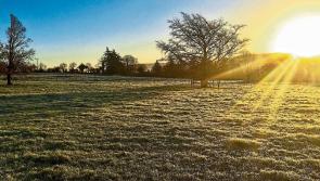 Leave the umbrellas at home today in Leitrim