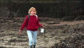 Creadan - a new understanding of Ireland's Ancient South East