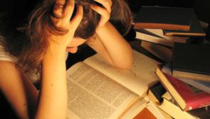 88% of Irish third level students worry about money, survey finds 