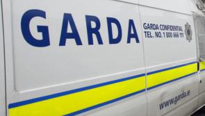 EXCLUSIVE: Waterford gardaí told not to prosecute almost half of cases by DPP