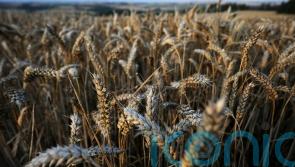 Waterford farmers urged to grow more crops in response to Ukraine war