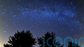 Orionid meteor shower to light up Waterford skies