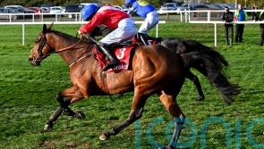 ‘He’s in mighty form’ – Waterford trainer de Bromhead sets 'aim' for Envoi Allen