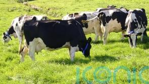 &lsquo;Unacceptable cultural barriers&rsquo; preventing women taking over family farms