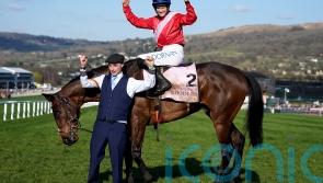 ‘No pressure’ - Waterford trainer De Bromhead to make late Leopardstown call on Gold Cup champ