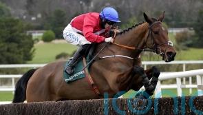 RACING: Waterford trainer De Bromhead has high hopes for Envoi Allen in 'iconic' race