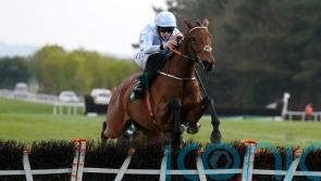 Waterford trainer De Bromhead 'happy' with Honeysuckle ahead of Irish Champion Hurdle defence