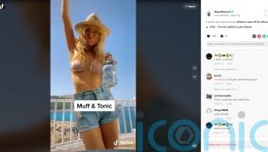 Laura Whitmore’s social media posts for Irish alcohol brand banned