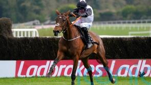 Waterford Racing: Magic Daze casts her spell for De Bromhead and Blackmore