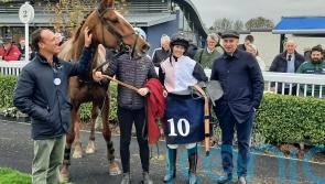 De Bromhead-trained Hiddenvalley Lake bids to book Albert Bartlett ticket
