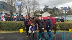 Monty’s Star shines in one-two for Waterford trainer De Bromhead in Clonmel feature