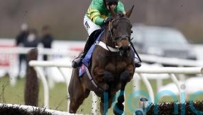 Cheltenham 2023: Henderson duo added to take on De Bromhead's Honeysuckle in Mares’ Hurdle