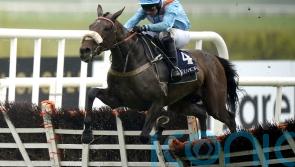 Cheltenham: Marie’s Rock taking on De Bromhead's Honeysuckle in Mares’ Hurdle on day one of festival