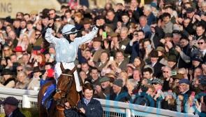 'Watching down on us' - Blackmore pays tribute to Jack de Bromhead following Honeysuckle's triumph