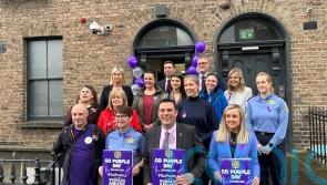 More than 16,500 domestic abuse reports to gardai so far this year