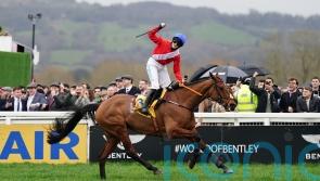 De Bromhead-trained Envoi Allen set to defend Champion Chase title