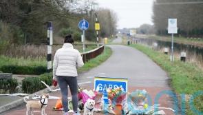 &lsquo;Erratic fluctuation of Fitbit data&rsquo; minutes before Ashling Murphy&rsquo;s death