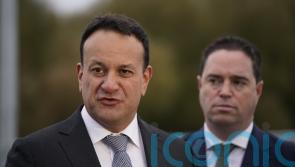 Proposed changes to offering for Ukrainians due in coming weeks – Varadkar